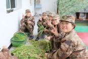 12岁小学生沉迷手机游戏怎么办 信阳叛逆孩子教育学校